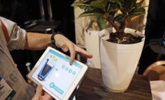 Una maceta conectada. Tiene capacidad de un litro de agua y está conectada a su app, misma que se programa para regar la planta cuando sea necesario.